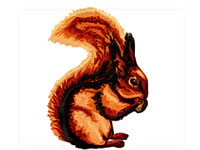 https://www.embroiderydesignsfreedownload.com/2018/04/squirrel-free-machine-embroidery-design.html