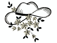 https://www.embroiderydesignsfreedownload.com/2018/06/cowboy-hat-and-flower-free-embroidery.html