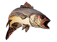 https://www.embroiderydesignsfreedownload.com/2018/08/striped-bass-free-embroidery-design-248.html