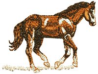 https://embwin.com/2019/08/horse-free-embroidery-design.html