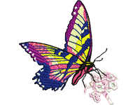 Butterfly Free Embroidery Design #951 – EMBWIN