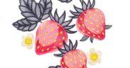 Strawberry Fruit Free Embroidery Design