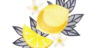 Lemon Fruit Free Embroidery Design