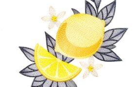 Lemon Fruit Free Embroidery Design