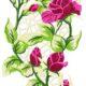 Stunning Flower Free Embroidery Design