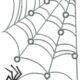 Spider Network Free Embroidery Design