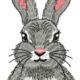 Bring Whimsy to Your Projects with Grinchy the Real Rabbit Free Embroidery Design